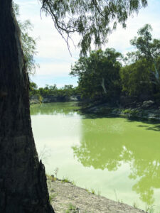 Have your say on NSW’s water