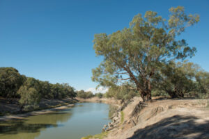 Barkindji group proposes dual names for Darling River