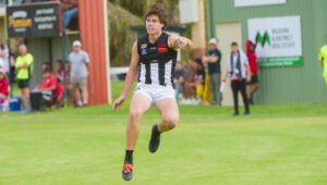 Young Magpie flying high
