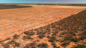 Legality of land clearing questioned