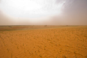 Millewa drought crisis hurts us all