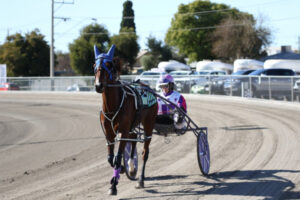 Driver hurt in frightening trots fall