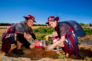 Sustainability science starts down on Benetook Farm