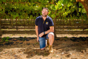 Unions spearhead push for fruit and veg royal commission