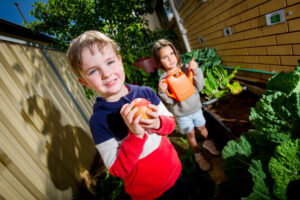 Kindergartens go for a healthy start