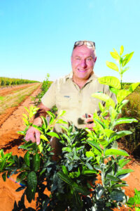 Growers key in Q-fly fight