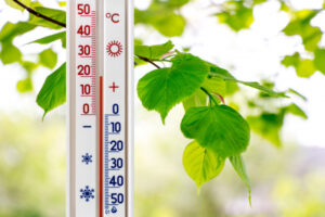 Burst of warmth at winter’s end