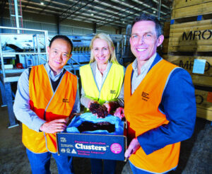 New chief aims to tempt Asian market