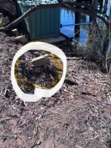Native birds vanish after nest vandalised