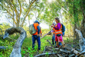 Volunteers fight cactus menace