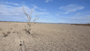 Lake Wallawalla gets new life with environmental flow