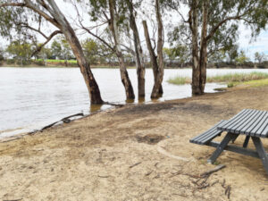 More dam releases test Murray River levels