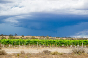 Mildura area gets storm and 90km/h wind alert