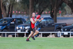 Bambill seek to tame runaway Lions