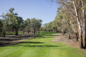 Coomie on course for golf comeback