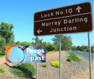 Flood wall to save Wentworth