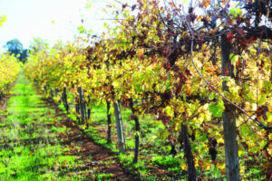 Report highlights workforce drop