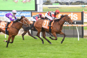 Payne has big team for bet365 meeting