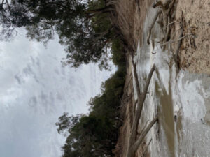 Rain brings sweet relief to farming family