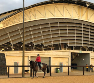 Tough lesson for horse rider Clancy Lyons