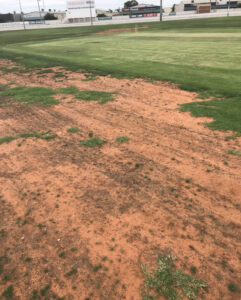 Oval surface left patchy