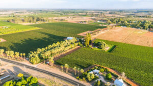 Agtech hub to sprout ideas