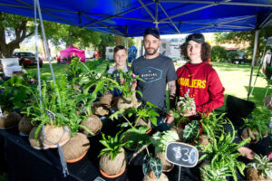 Fine day for a market