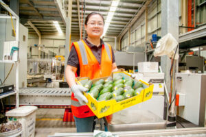 A smashing time for avos