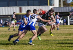 Flying Fox in top form