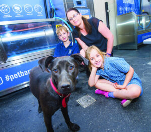 Another case of instant puppy love