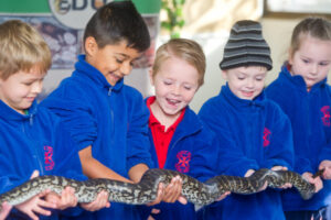 Snakes alive! Nature adventure for Nichols Point Primary School students