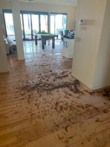 House flooded, owner ‘devastated’