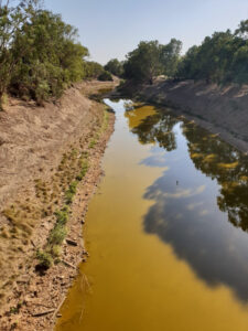 Wentworth councillor’s tears for the Darling River