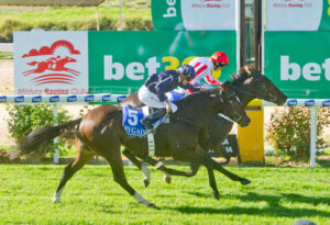 Azzuro Bianco shines through