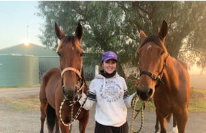 Big night of trotting on the way at track