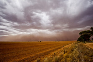 Millewa counting every dollar of federal drought grant