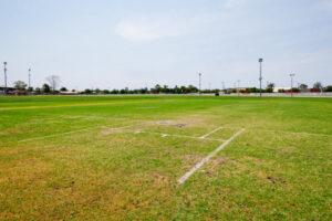Mildura Council to resume watering of sports fields