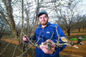 Farmers count losses