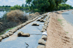 Levee bank report ordered