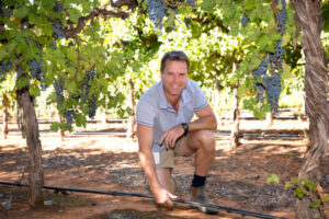 New plant varieties can beat Sunraysia heat, say researchers