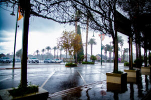 June rainfall a good drop for Mildura