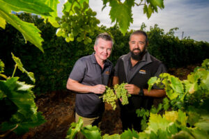 Don’t leave money on the vine, table grape growers told