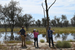 High tech gate allows wetland recovery