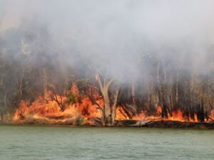 Alarming forecast for north-west Victoria fire risk days