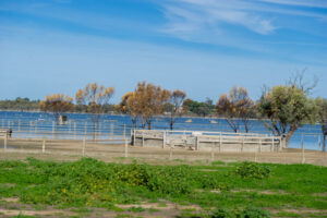 Riders get back in the saddle