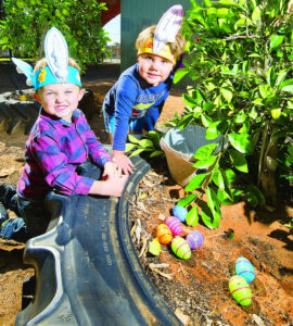 Ears what they’re looking for