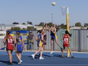 Fast passes: Your quick-read SFNL Round 4 netball wrap