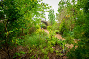 Eric’s garden wonderland a life passion