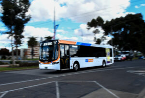 30 extra bus services needed: report