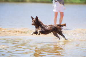 A cooler year, with more water to go around